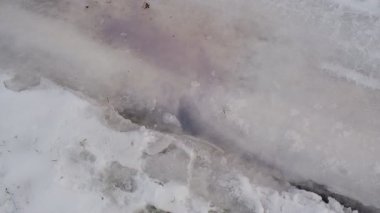 Karlı bir orman yolunda donmuş su birikintisi. İnce, çatlamış bir buzla kaplı. Ağaç dallarını ve gökyüzünü yansıtıyor. Karla çevrili, kuru yapraklar, çam iğneleri ve çimlerle; eriyen kenarları olan soğuk, kasvetli kış zemin dokusu. Mevsimlik ideal,