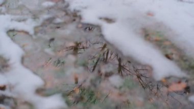 Karlı bir orman yolunda donmuş su birikintisi. İnce, çatlamış bir buzla kaplı. Ağaç dallarını ve gökyüzünü yansıtıyor. Karla çevrili, kuru yapraklar, çam iğneleri ve çimlerle; eriyen kenarları olan soğuk, kasvetli kış zemin dokusu. Mevsimlik ideal,