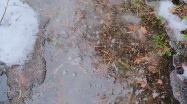Karlı bir orman yolunda donmuş su birikintisi. İnce, çatlamış bir buzla kaplı. Ağaç dallarını ve gökyüzünü yansıtıyor. Karla çevrili, kuru yapraklar, çam iğneleri ve çimlerle; eriyen kenarları olan soğuk, kasvetli kış zemin dokusu. Mevsimlik ideal,