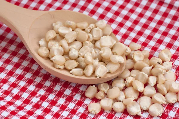 Witte maïs en houten lepel — Stockfoto