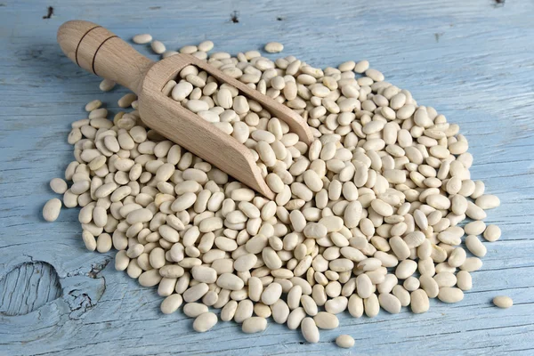 Wooden scoop with white beans — Stock Photo, Image