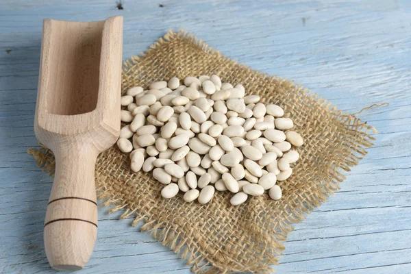 Wooden scoop with white beans — Stock Photo, Image