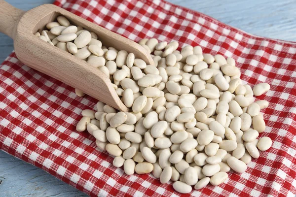 Wooden scoop with white beans — Stock Photo, Image