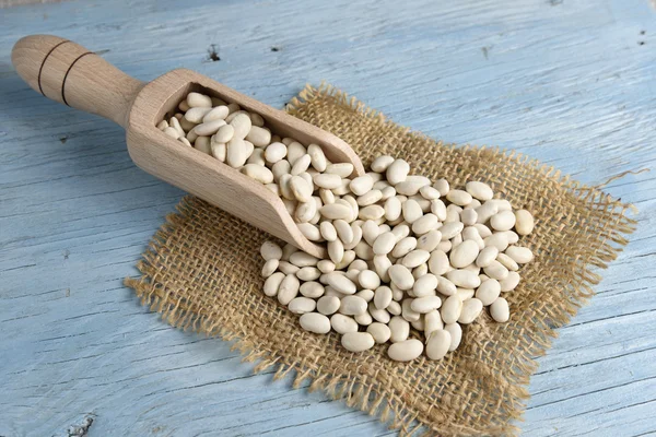 Wooden scoop with white beans — Stock Photo, Image