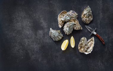 Kopyalama alanı olan üst görünüm. Taze istiridye, bıçak, koyu taşlı arka planda limon dilimleri. Taze çiğ istiridye açtık. İstiridye barı. Deniz ürünleri. İstiridye konsepti. Parti yemeği. Metin için boşluk.