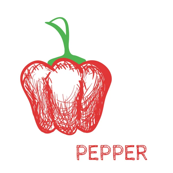 Hand Drawn Pepper Sketch Vector — Stock Vector