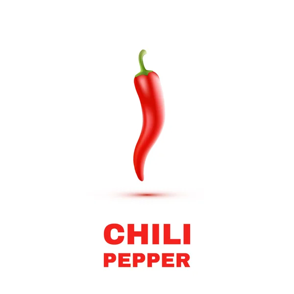 Chili Peppers terisolasi di White Background. Vektor - Stok Vektor