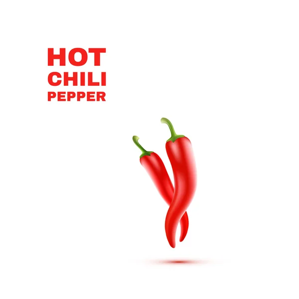 Chili paprika, elszigetelt fehér background. vektor — Stock Vector