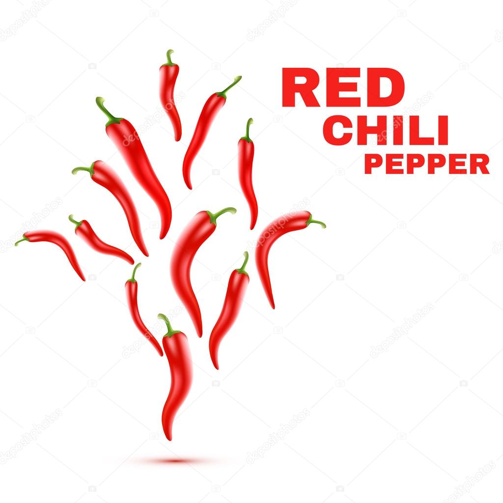 Chili Peppers isolated on white Background. Vector