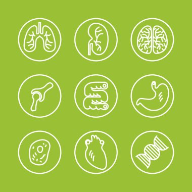 insan organlarını Icons set