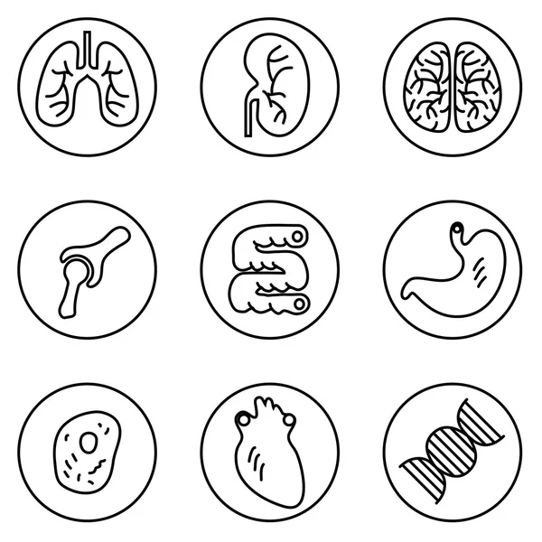 insan organlarını Icons set