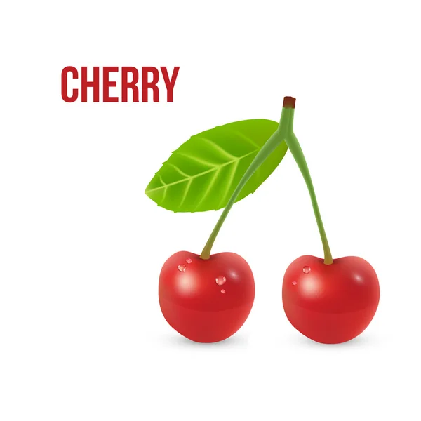Realistyczne Cherry jagody — Wektor stockowy