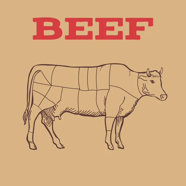 Schéma de découpes de boeuf . — Image vectorielle