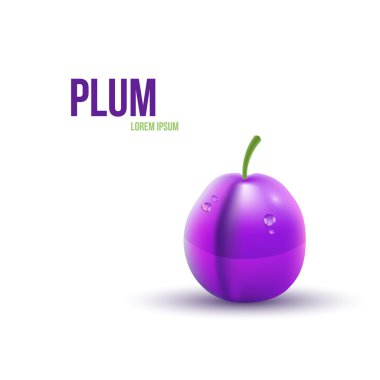 Beyaz arka plan üzerinde izole gerçekçi Erik. Vektör