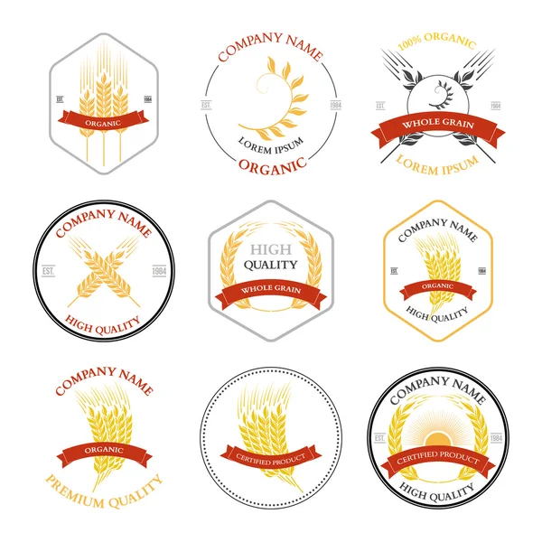 Ears of wheat and rye set labels, badges — Stock Vector