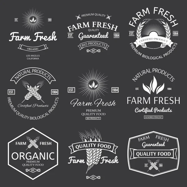 Farm fesh badges for any use — Stock Vector