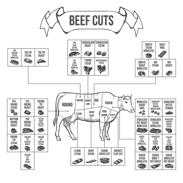 Regeling van rundvlees bezuinigingen voor biefstuk en gebraden. Vector — Stockvector