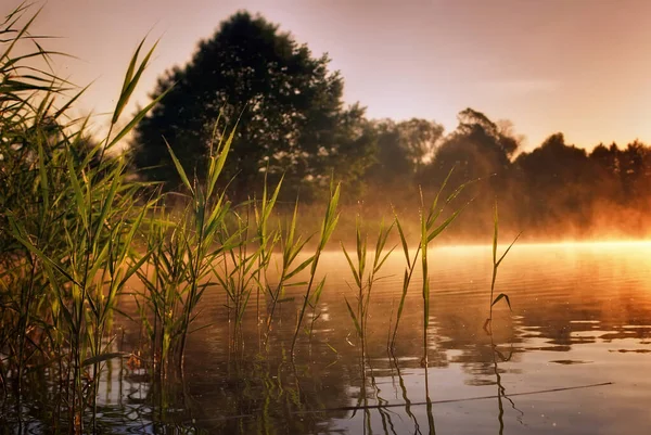 Gölde güzel sislerle dolu bir yaz sabahı.. 