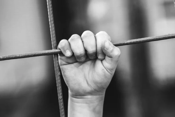 Mülteci el tel sınırında