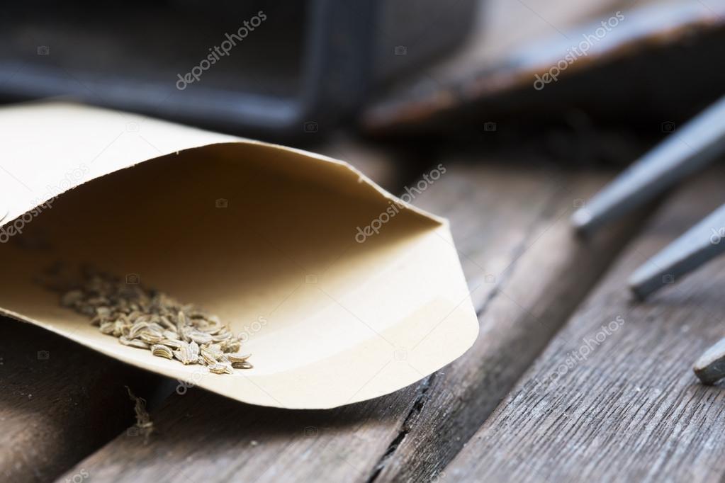 Garden Carrot Seeds