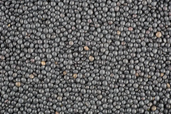 Black lentils texture — Stock Photo, Image