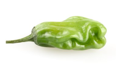 İzole Shishito biber