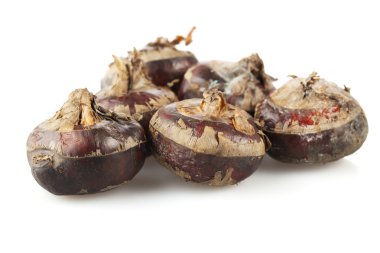 beyaz üzerine kestane