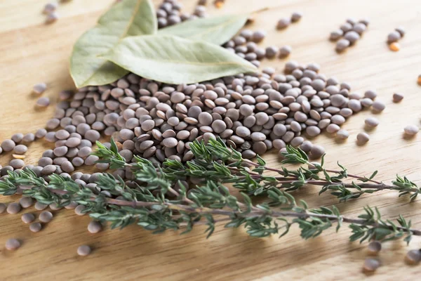 Lentil and Herbs — Stock Photo, Image