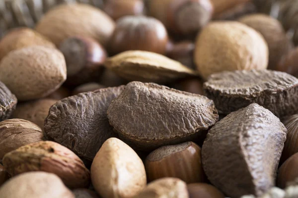 Mixed Nuts Close Up — Stock Photo, Image