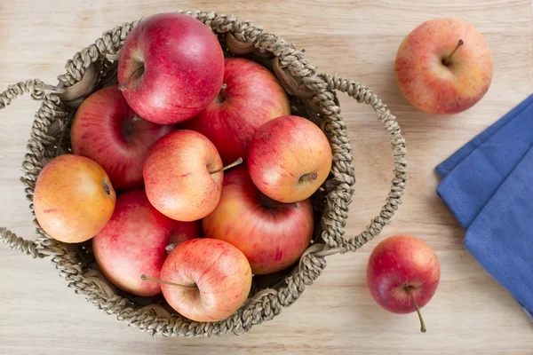 Apple Harvest — Stock Photo, Image