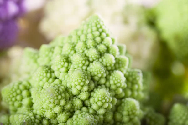 Romanesco Broccoli — Fotografie, imagine de stoc