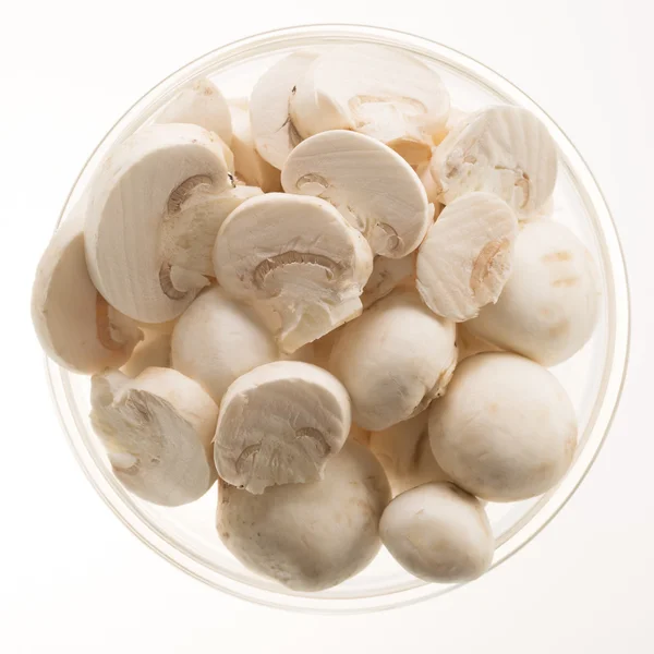 Button Mushrooms Isolated — Stock Photo, Image