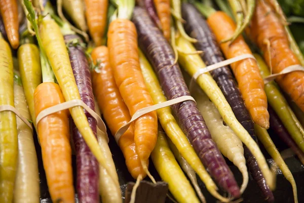 Cenouras coloridas — Fotografia de Stock