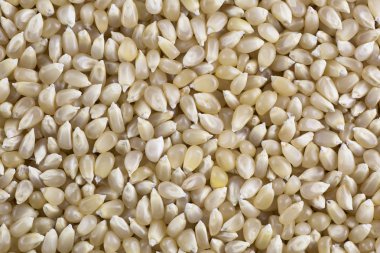 Beyaz patlamış mısır çekirdekleri arka plan