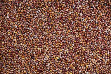 Kırmızı Quinoa tohumlar arka plan