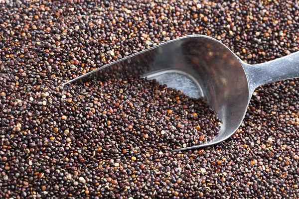 Metal Scoop in Quinoa — Stock Photo, Image