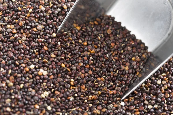 Nahaufnahme Schaufeln schwarzer Quinoa — Stockfoto