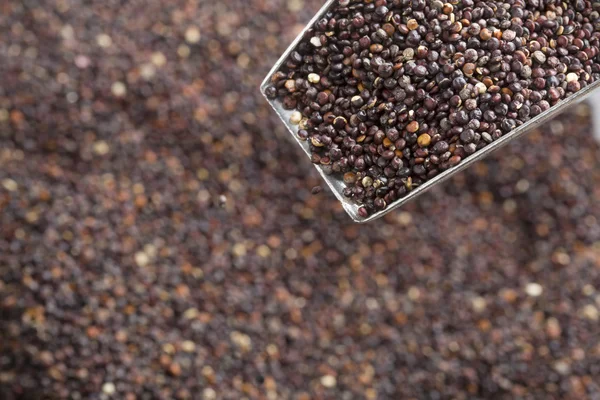 Skopa av svart Quinoa frön — Stockfoto