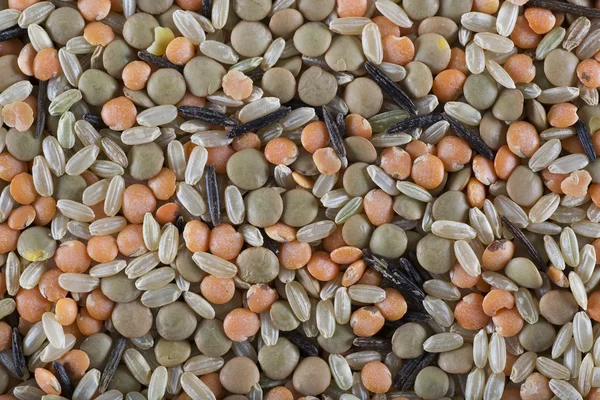 Lentils and Rice Background — Stockfoto