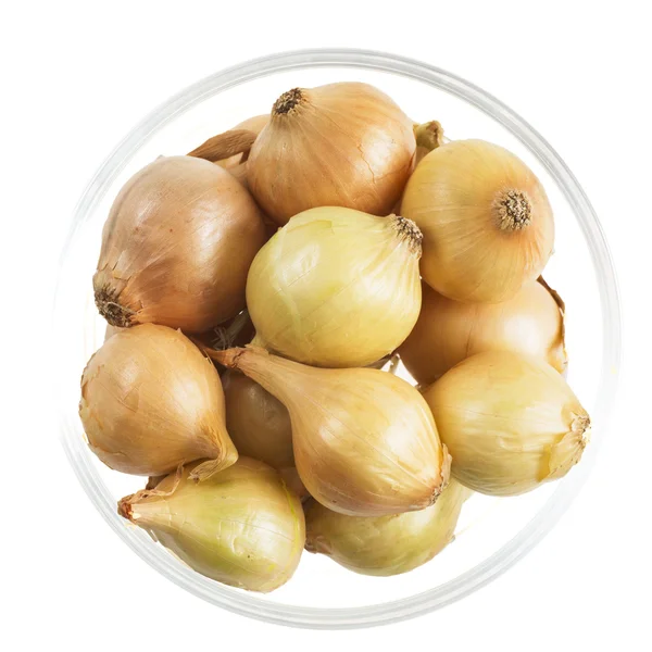 Pearl Onions in Bowl — Stock Photo, Image