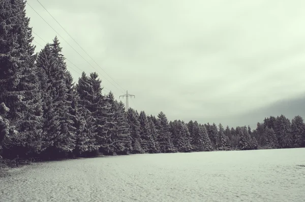 Paysage forestier hivernal — Photo