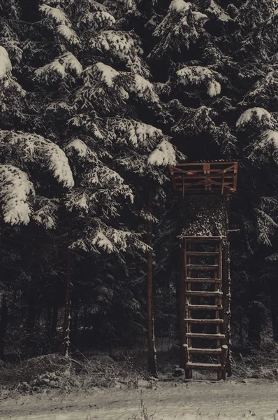 Vinterskog landskap — Stockfoto