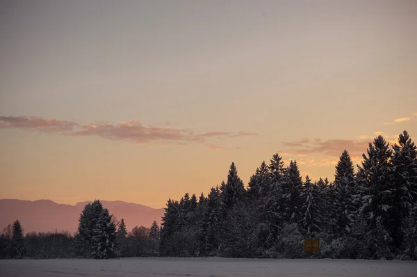 Iarna peisaj forestier — Fotografie, imagine de stoc