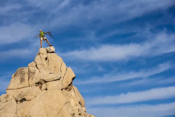 Bergsteiger auf dem Gipfel. — Stockfoto