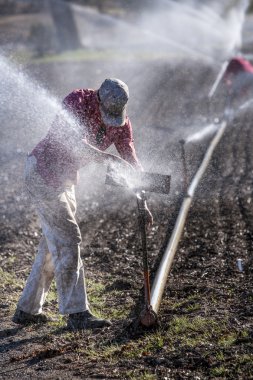 Woman setting irragation sprinklers.
