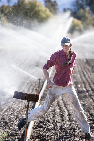 Woman setting irragation sprinklers. — Stockfoto