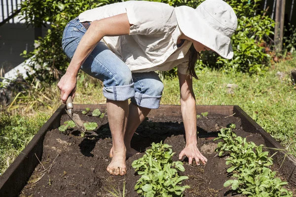 Young woman working her home garden. — 스톡 사진