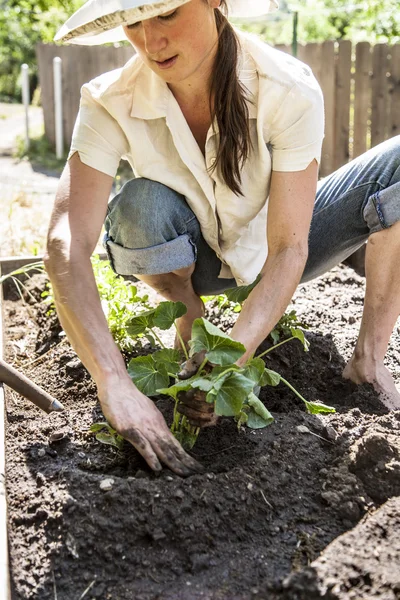 Молода жінка працює в своєму саду . — стокове фото