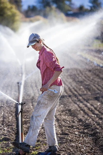 Woman setting irragation sprinklers. 免版税图库照片