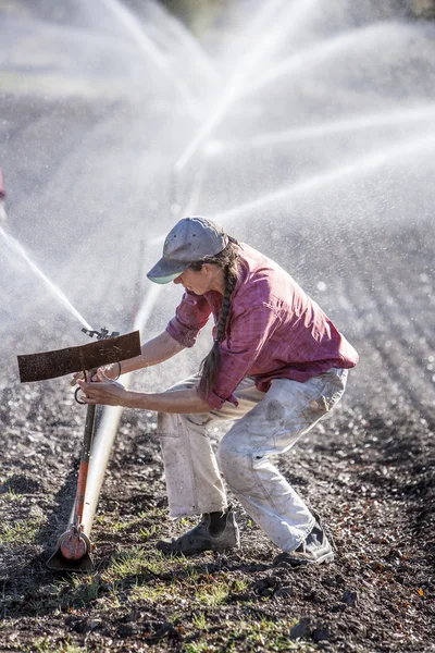 Woman setting irragation sprinklers. 免版税图库照片